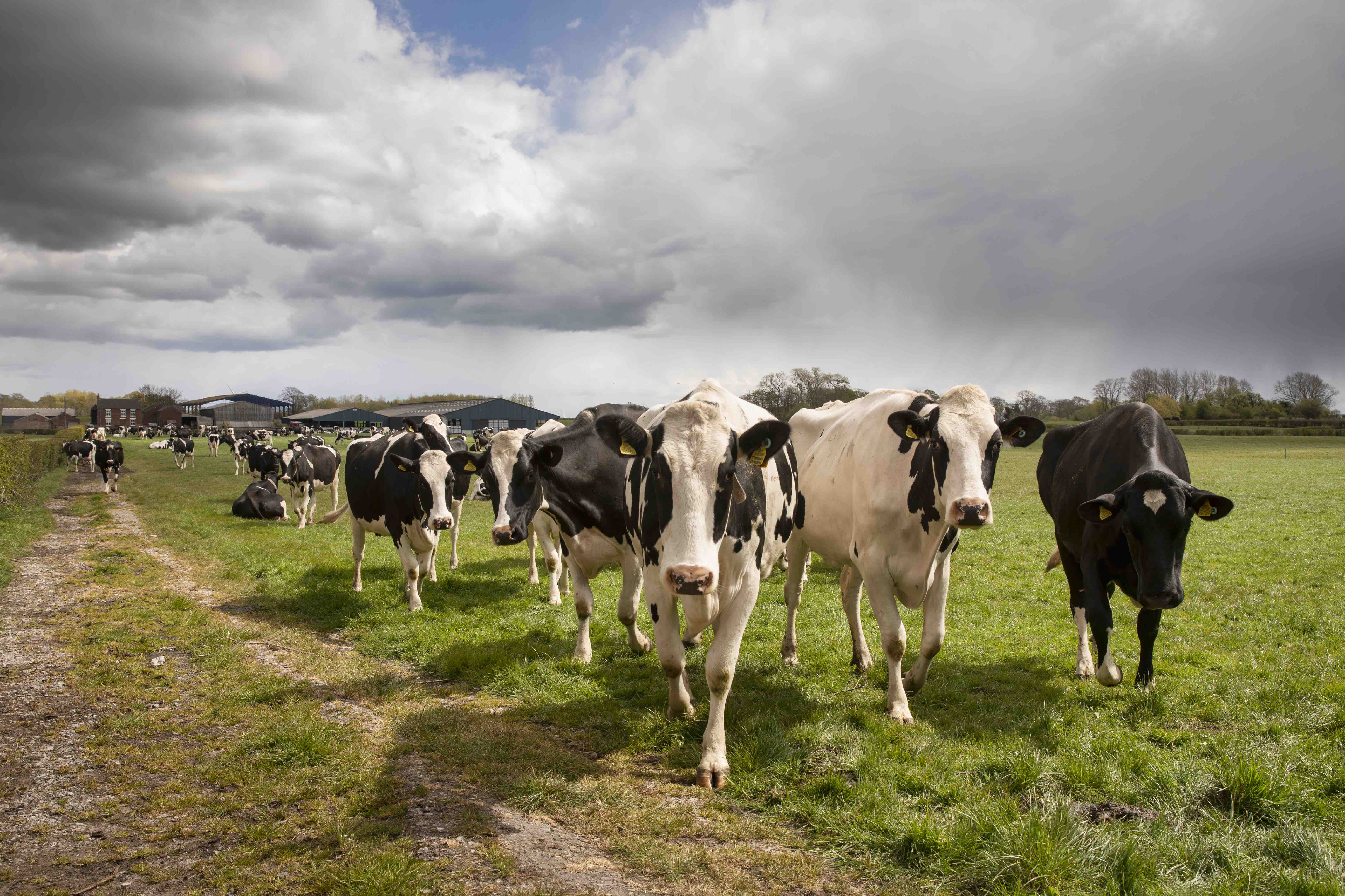 Preparing for Spring Turnout